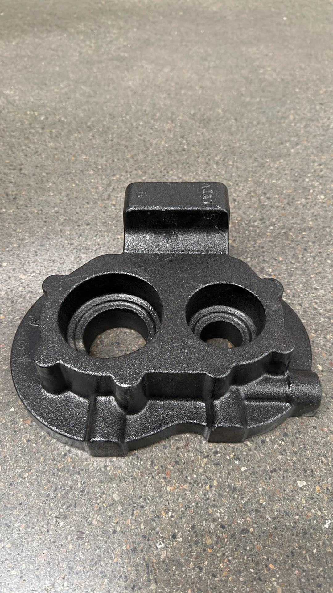 HT250 Bearing Housing Casting — HT250 bearing housing as-cast before machining 5