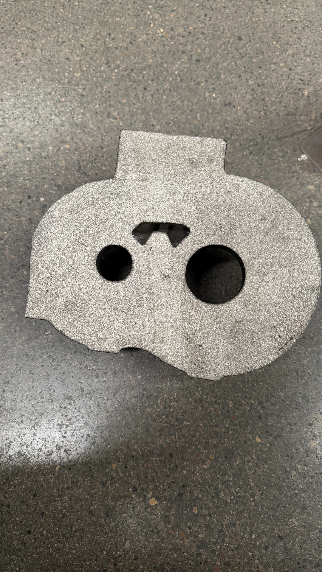 HT250 Bearing Housing Casting — HT250 bearing housing as-cast before machining 7