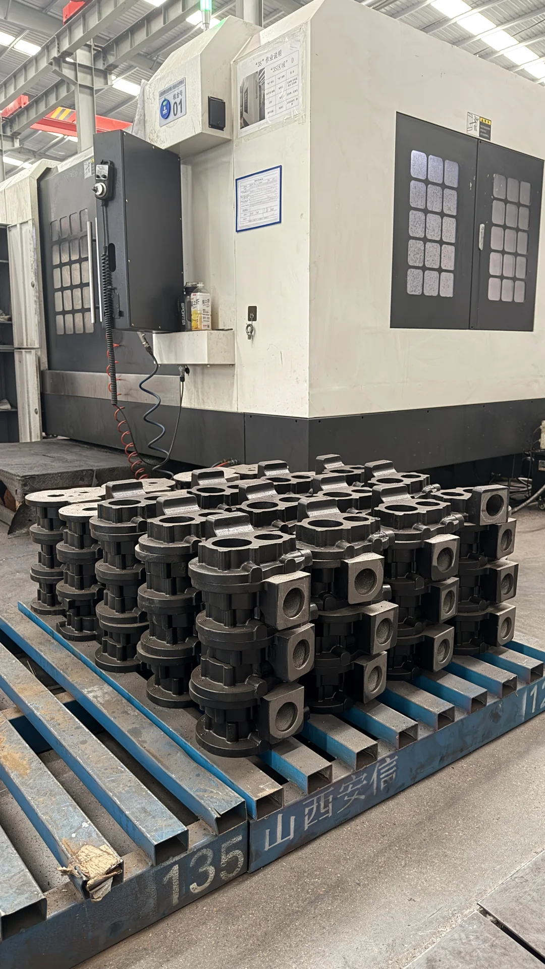 HT250 Bearing Housing Casting — HT250 bearing housing as-cast before machining 8